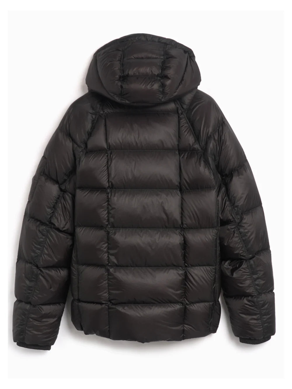 SEVENPETALS x Company Jacket